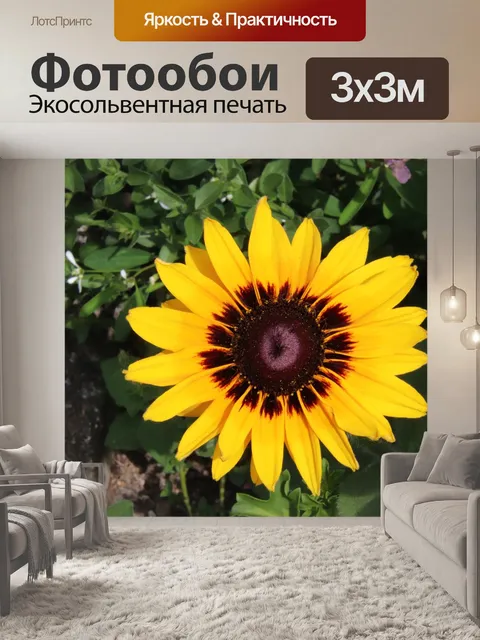 Фотообои Цветы