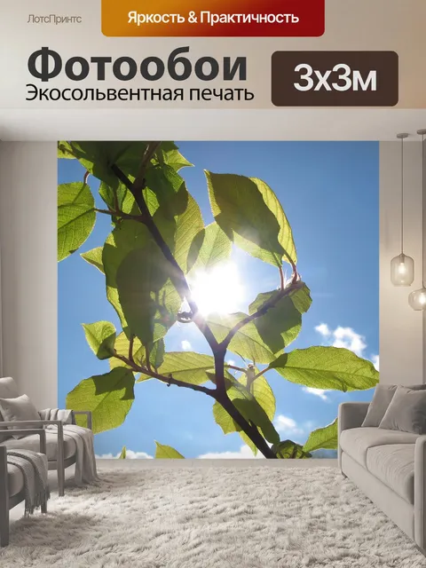 Фотообои Небо