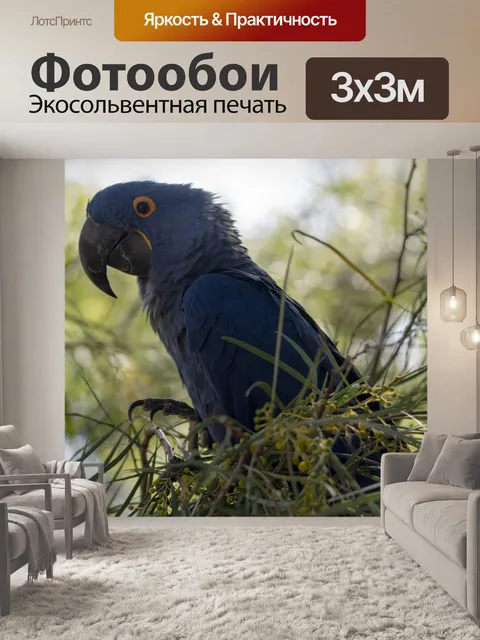 Фотообои Синий попугай ара птица