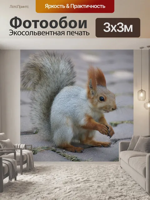 Фотообои Белка