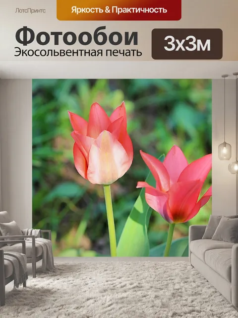Фотообои Цветок