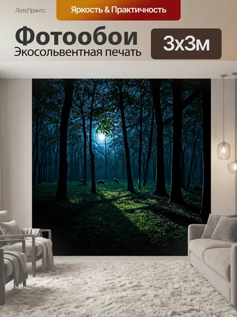 фотообои лес в стиле нуар: вечерний лес с глубокими тенями