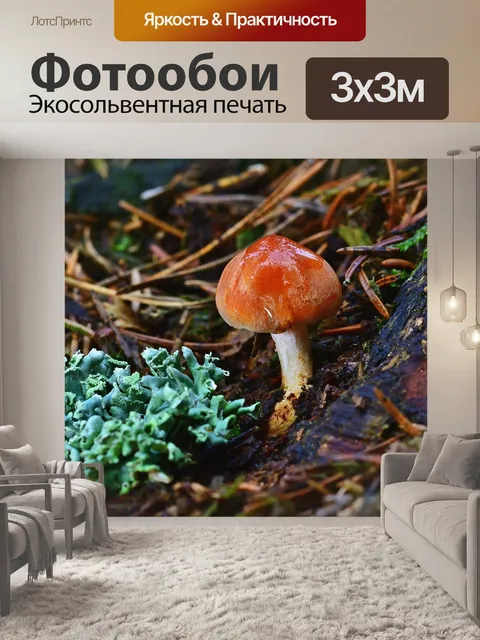 Фотообои Лес
