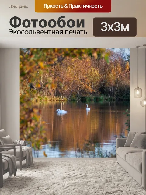 Фотообои Лебеди