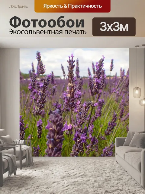 Фотообои Лаванда