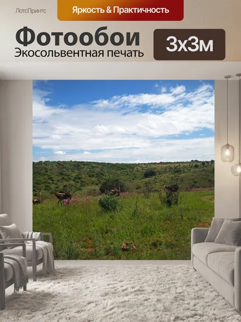 Фотообои группа страусов на лугах