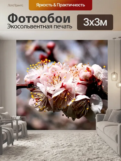 Фотообои Цветы