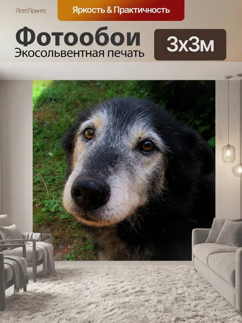 Фотообои Милая