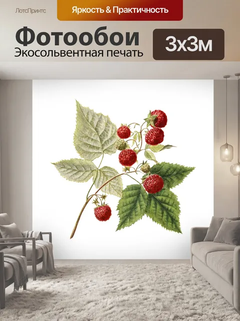 Фотообои Винтажная ежевика с малиной