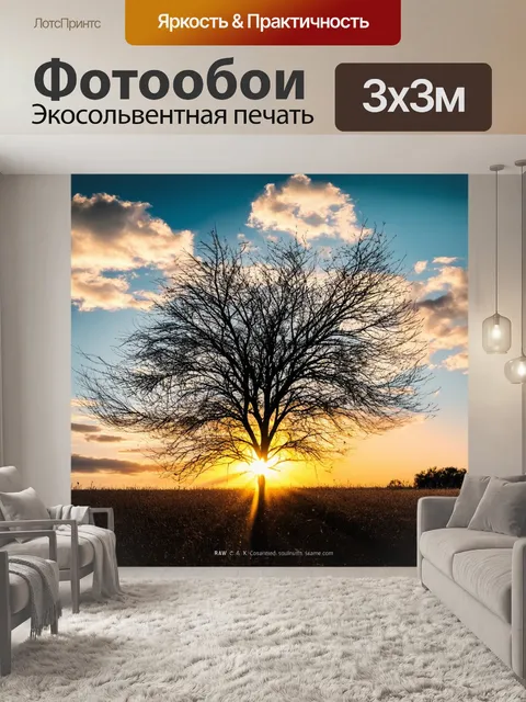 Фотообои дерево с редкими листьями на фоне яркого рассвета с хитроумным узором облаков