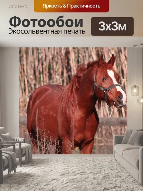 Фотообои Животные