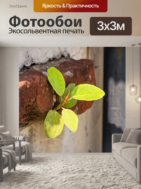 Фотообои Листья