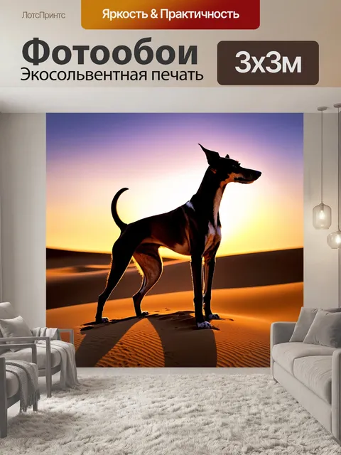 Фотообои на фоне волнующего заката в пустыне, гибридный салюки стоит на песчаных дюнах, его силуэт четко виден