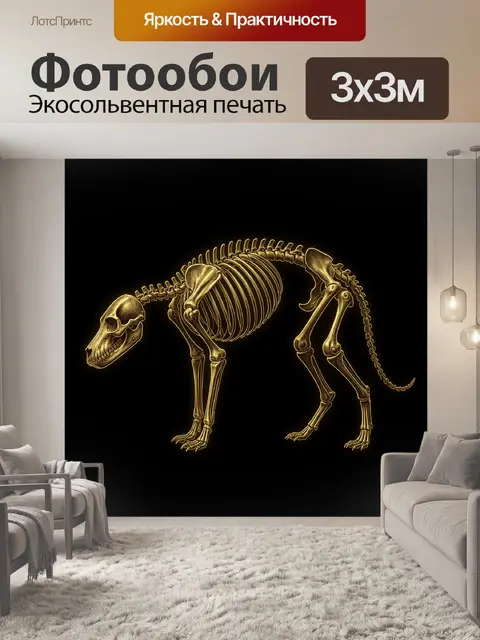Фотообои Золотой скелет собаки