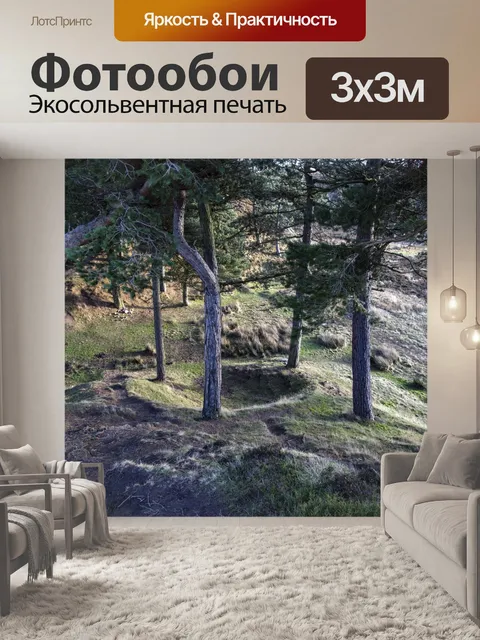 Фотообои Илкли Yorkshire причаливает Англия Велик