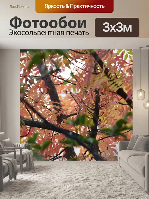 Фотообои Падение
