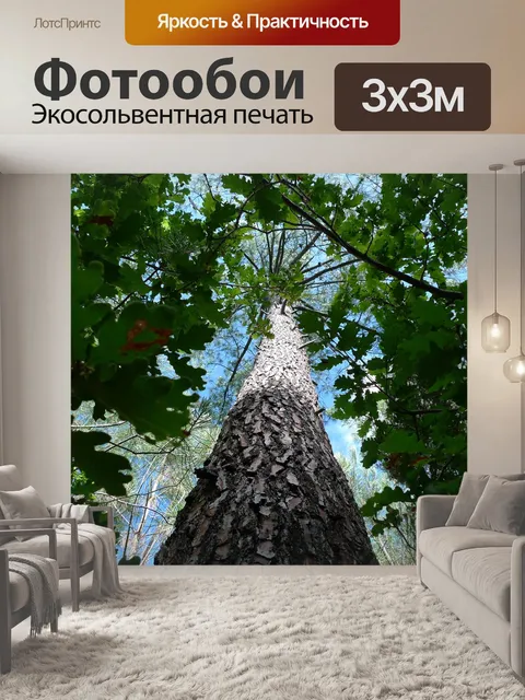 Фотообои Сосна