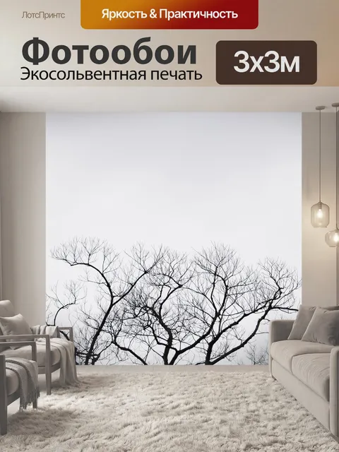 Фотообои Силуэты