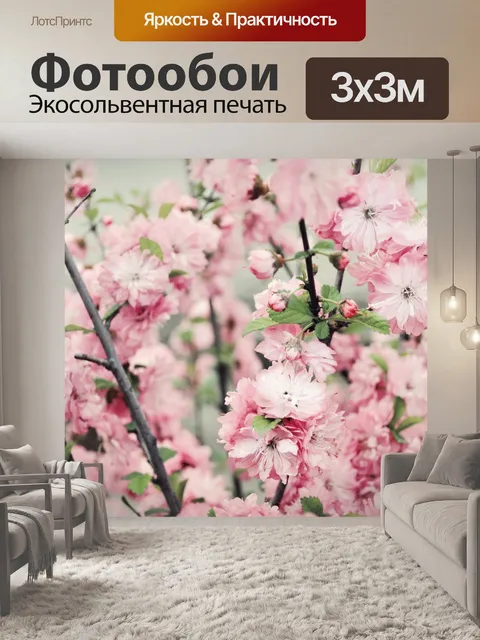 Фотообои сакура