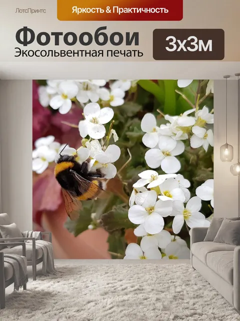Фотообои Цветы