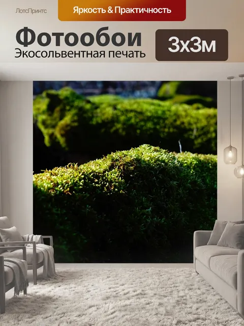 Фотообои Мох