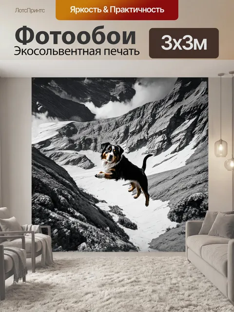 Фотообои взгляд с высоты на бернского зенненхунда