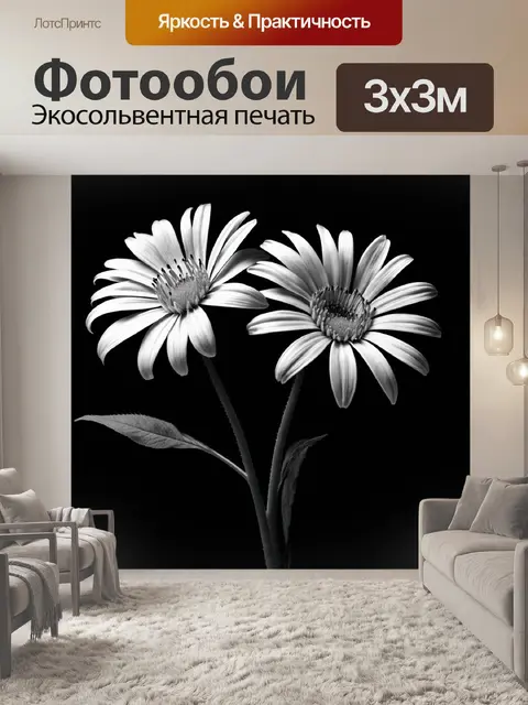 Фотообои цветы в стиле нуар, игра света и тени, создающая драматический эффект