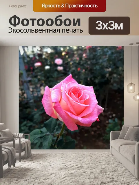 Фотообои Розы