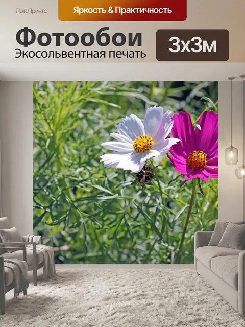 Фотообои Цветы