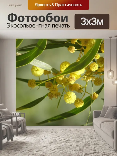 Фотообои Деревья