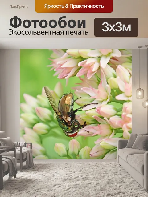 Фотообои Летать