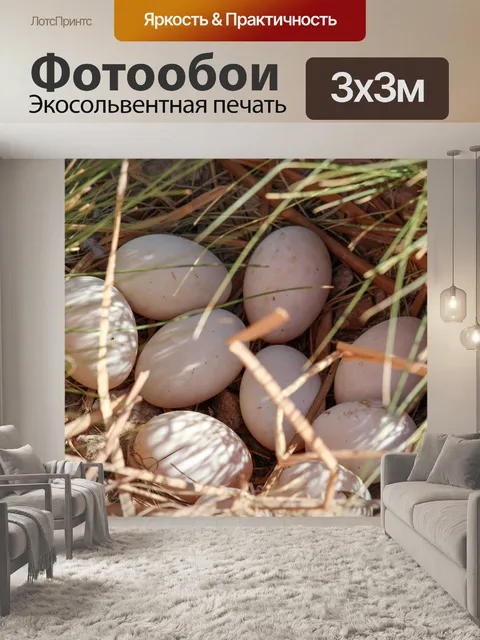 Фотообои Природа
