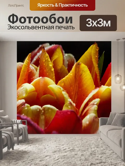 Фотообои Цветок