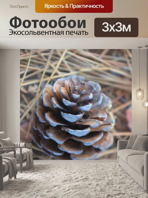 Фотообои Шишка на лесной почве