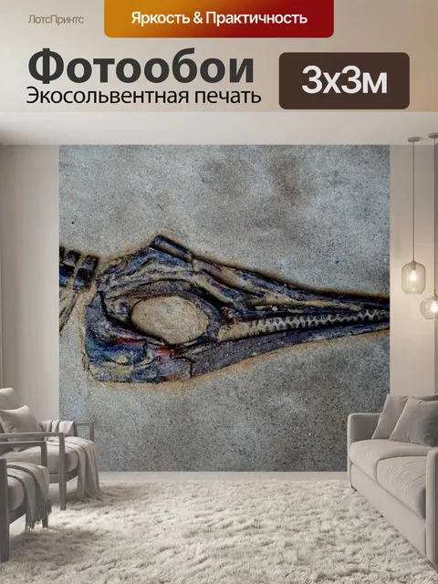 Фотообои Динозавр Череп в песке