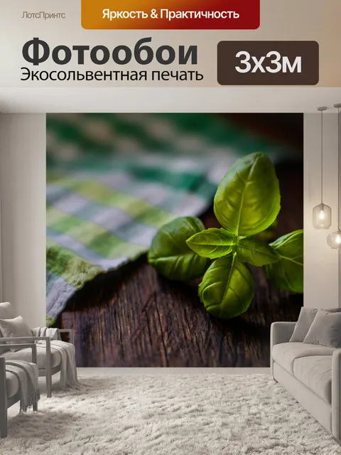 Фотообои базилик, лист, трава
