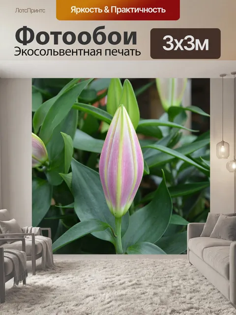 Фотообои Цветы