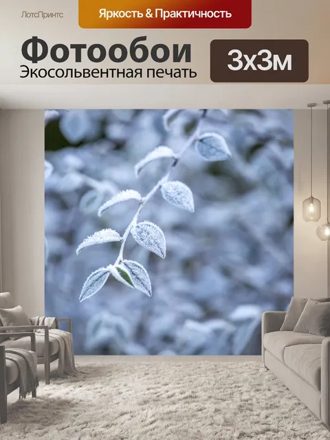 Фотообои Морозные зимние листья