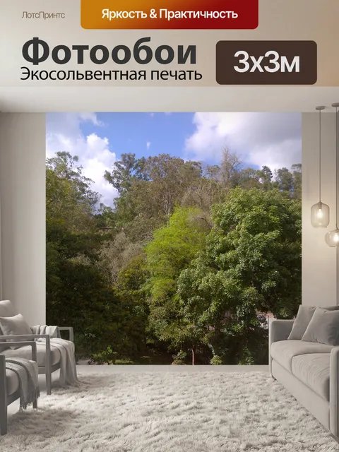 Фотообои Деревья