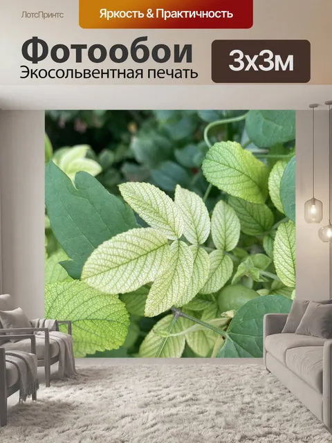 Фотообои Листья