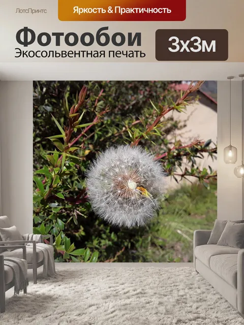 Фотообои Цветок