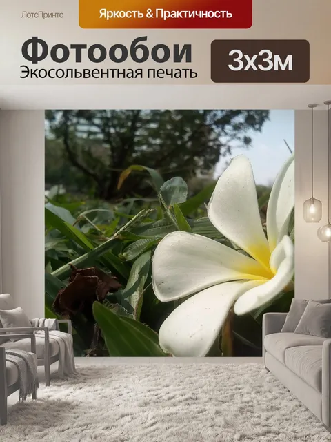 Фотообои Цветок