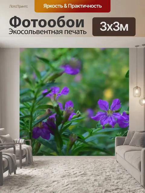 Фотообои Звезда