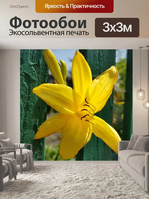 Фотообои Цветы