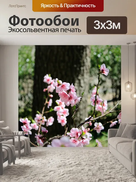 Фотообои Персиковый цвет