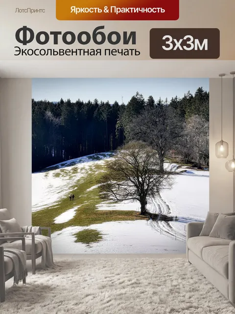 Фотообои Лес