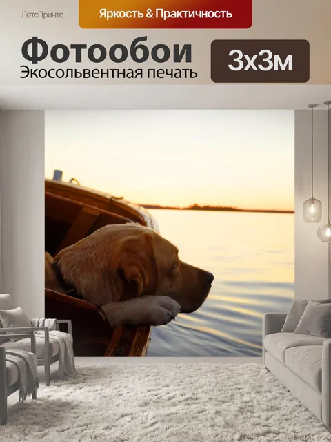 Фотообои Собака