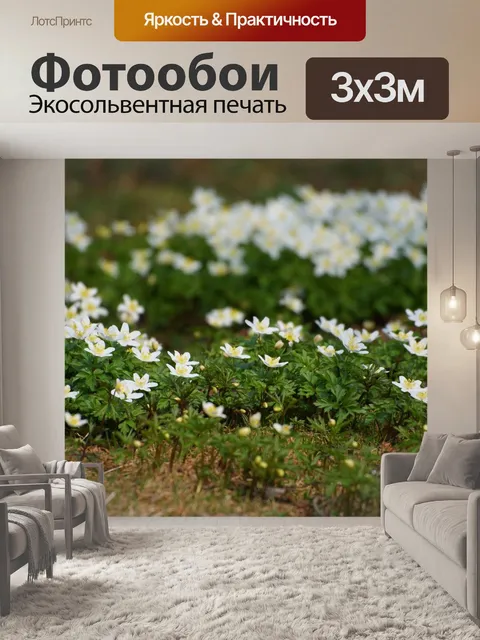 Фотообои Белые анемоны