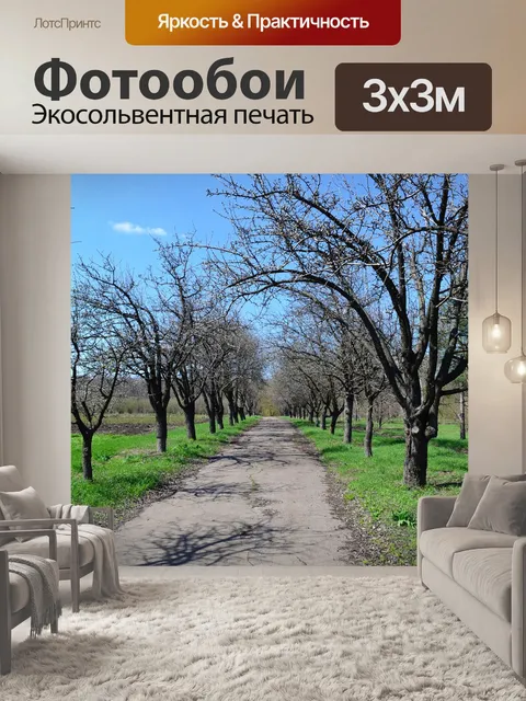 Фотообои Деревья