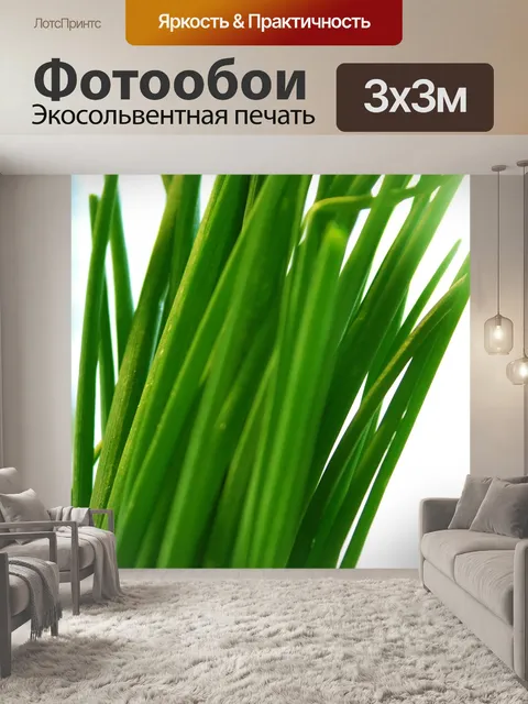 Фотообои Сад